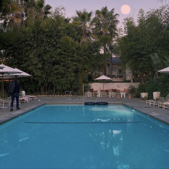 🧡❤️💗🐚Free Seashells🐚💖❤️🧡 - Picture 16 of 16